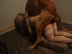 Teenage animal sex with a dog, petite